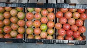 Pomegranate - MELITA CAN  Food